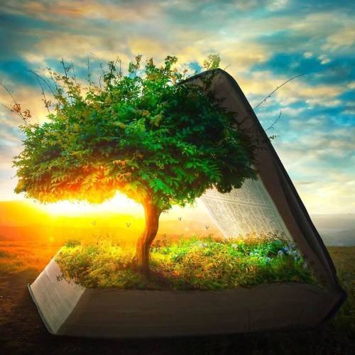 un arbol creciendo en una biblia