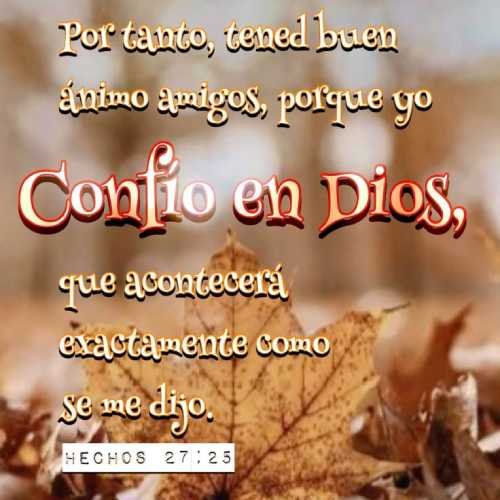 Imagen de Hojas secas con una leyenda de confianza en Dios