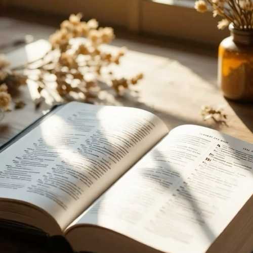Biblia enfrente de una ventana